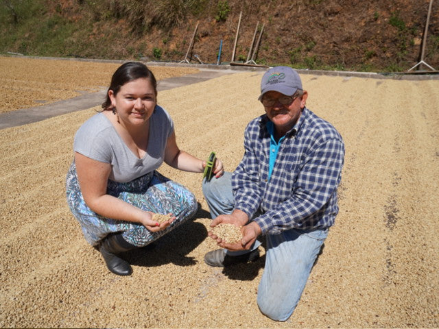 Costarica La Candelilla Fully Washed
