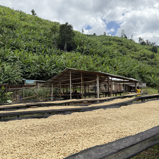 Rwanda Vunga Washed