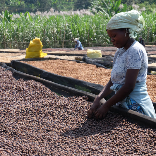 Rwanda Rugali Natural