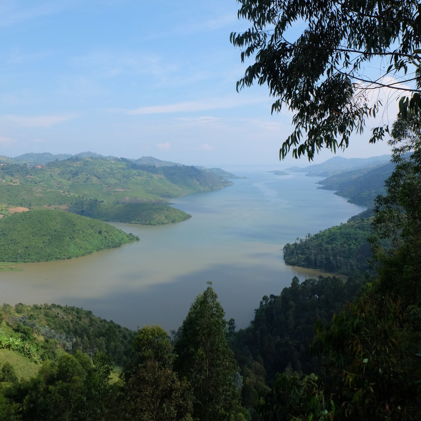 Rwanda Rugali Natural