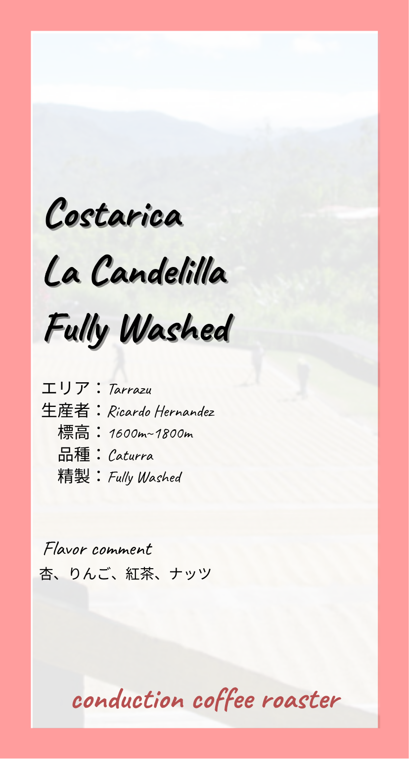 Costarica  La Candelilla  Fully Washed