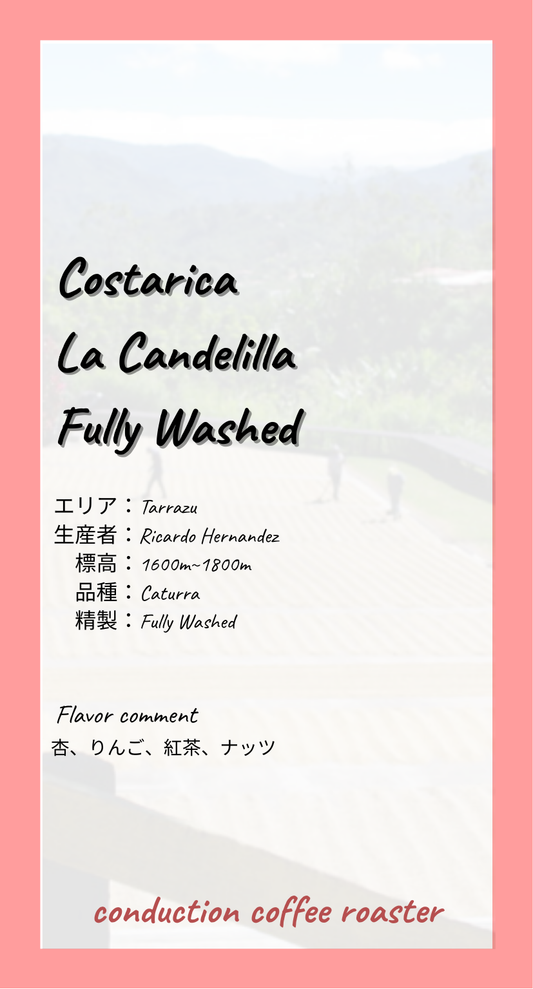 Costarica  La Candelilla  Fully Washed