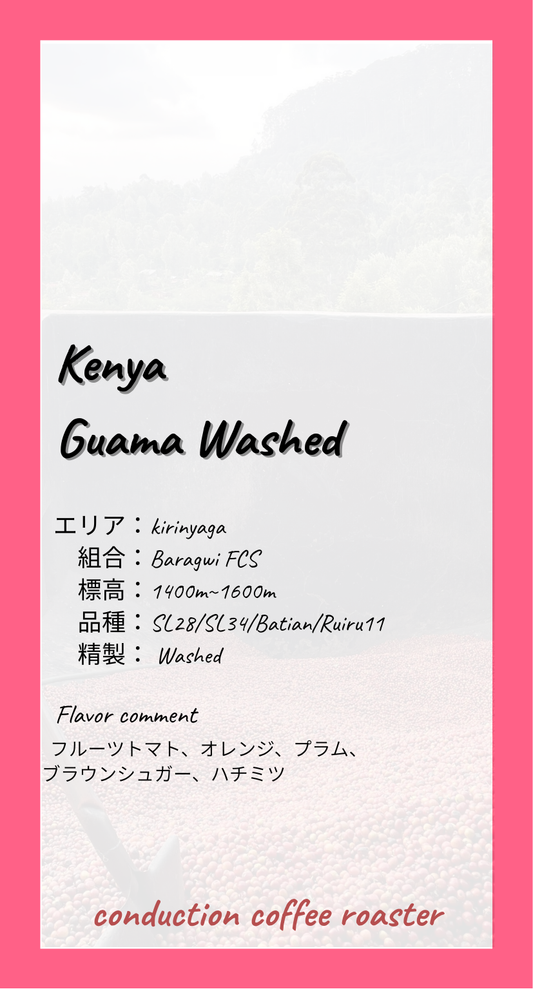 Kenya Guama Washed